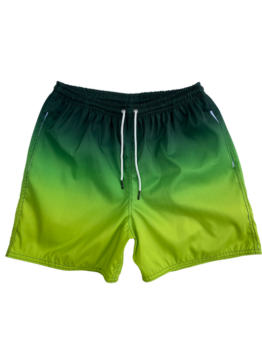 PANTALONETA DEGRADE VERDE