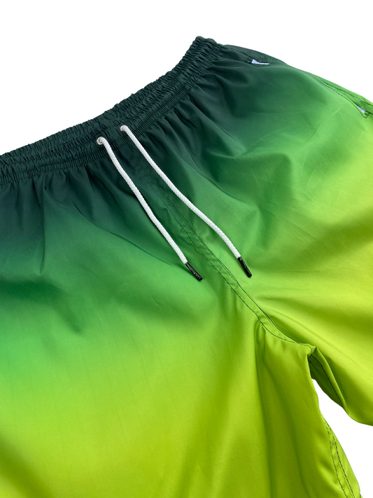 PANTALONETA DEGRADE VERDE